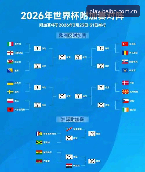 世界杯观赛困境详解：签证危机与地缘政治如何影响全球球迷